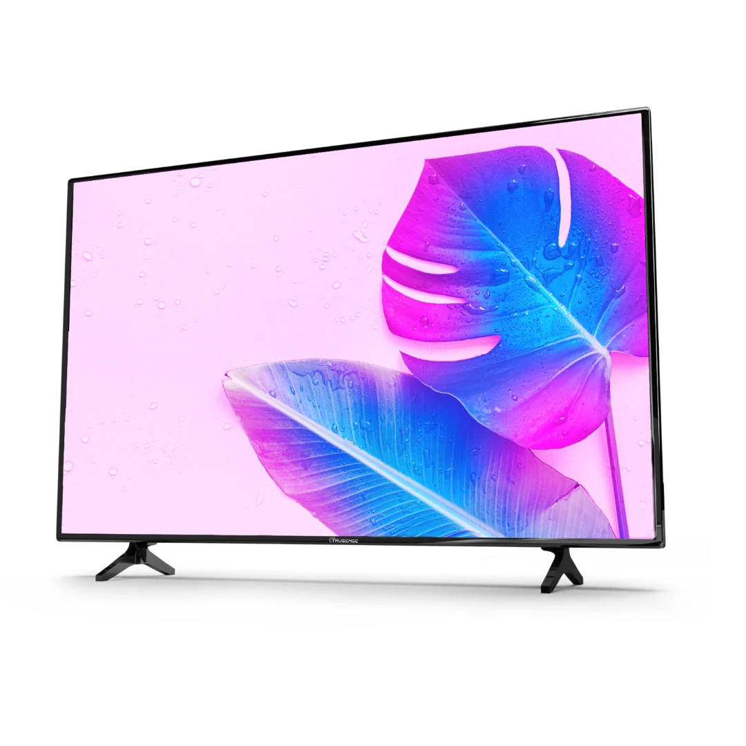 Television
